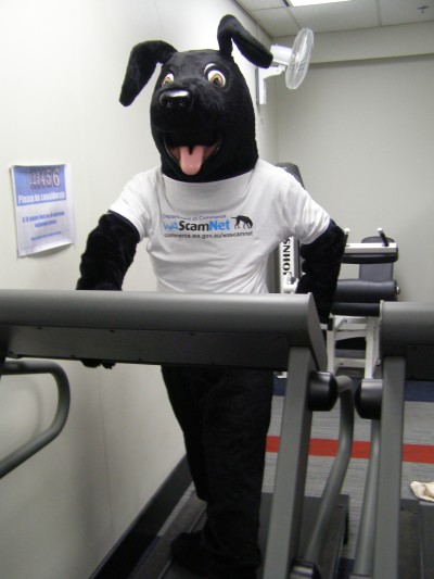WA ScamNet Mascot Jet on a treadmill