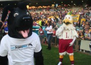 Jet on the field at the Mix 94.5 Grand Mascot Race for Telethon
