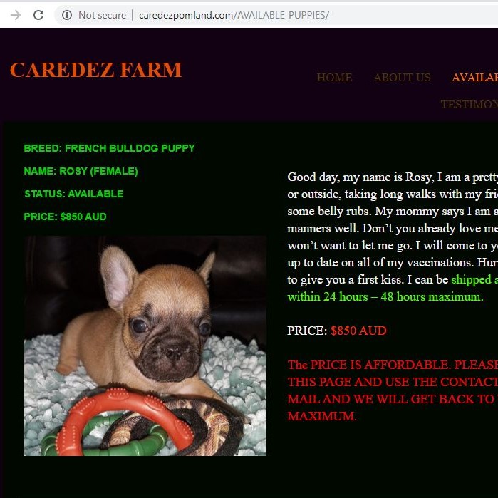 Caredez Farm puppy scam