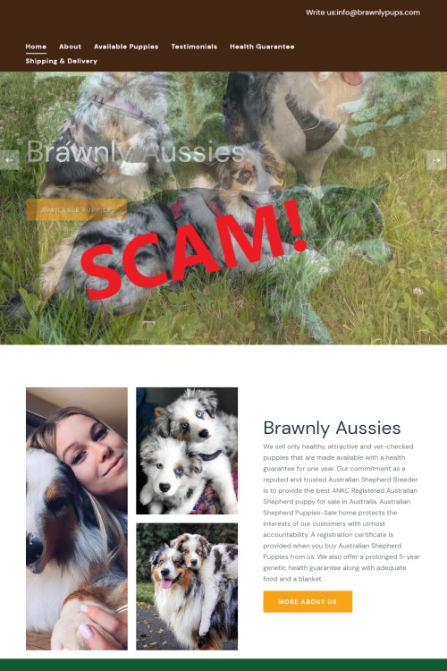 20221213 - brawnlypups