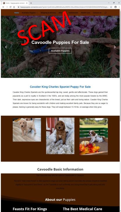 happypuppies-connection.com - Home