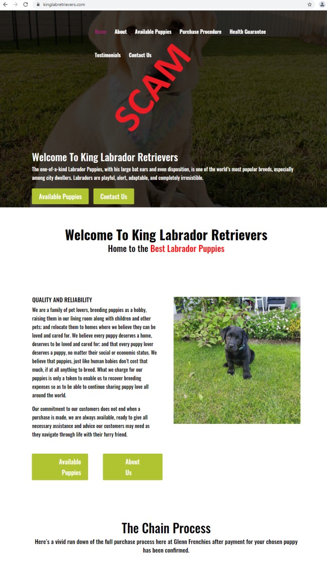 20210524 - kinglabretrievers - Home page