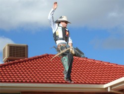 rooftopcowboy