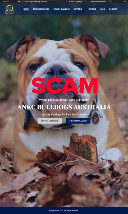 crystalbulldogs.com.au - Home