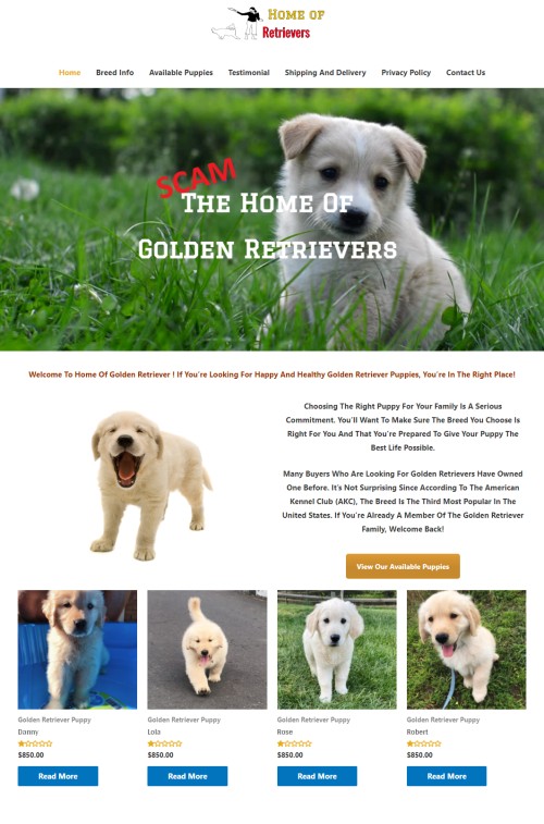 20210420 - homeofgoldenretriever