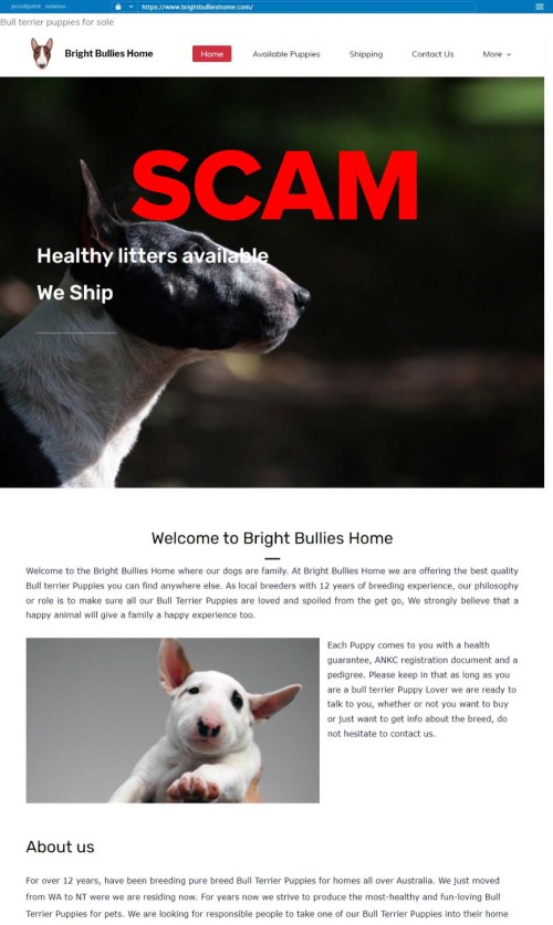 Scam website
