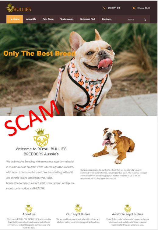 screenshot of fake puppy website royal online bullie
