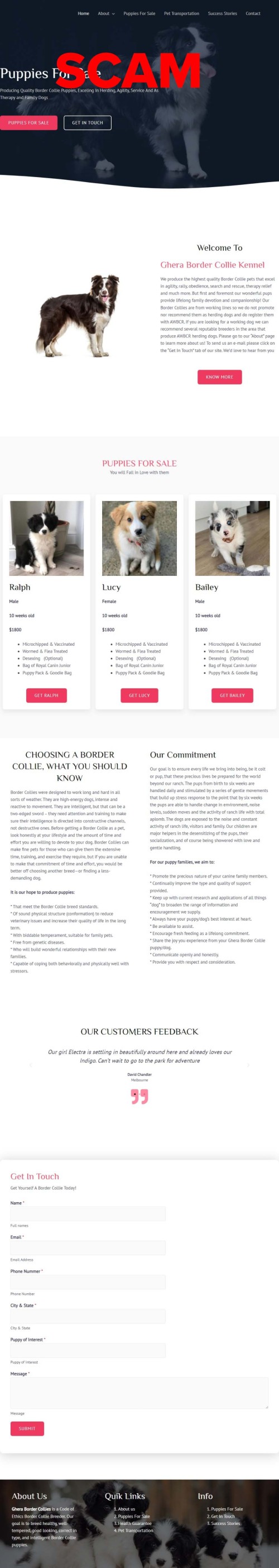 Scam website