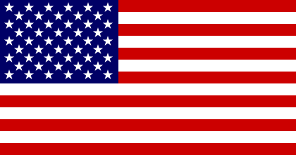 The American flag 