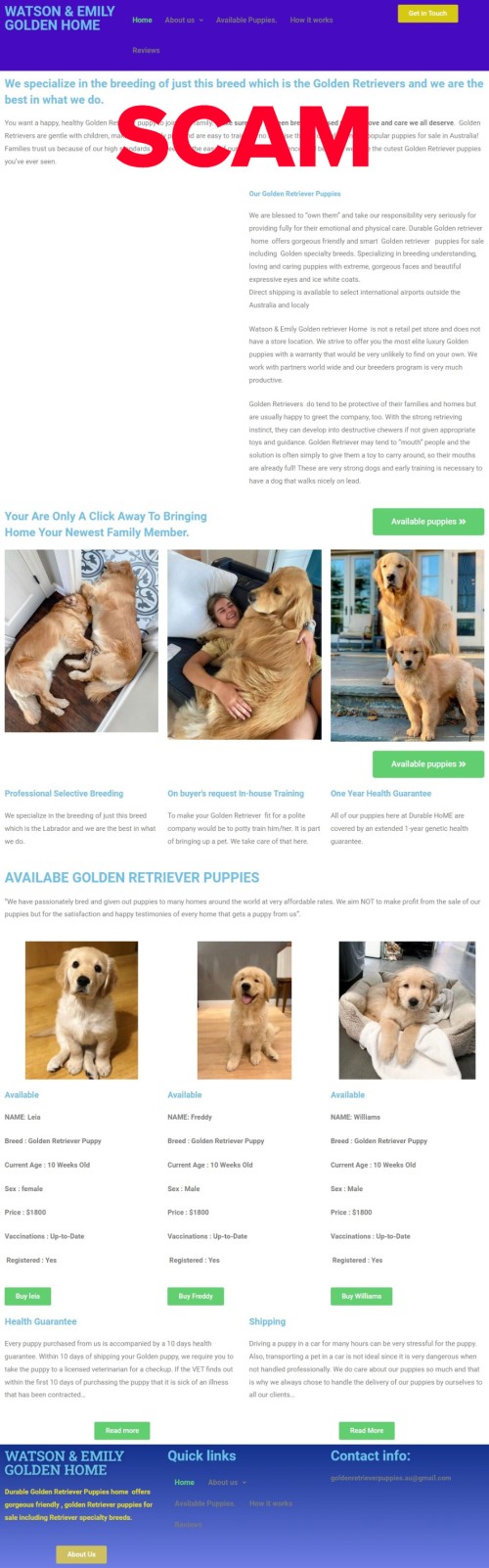 watsonanemilygoldenretrieverkennel.com - Home