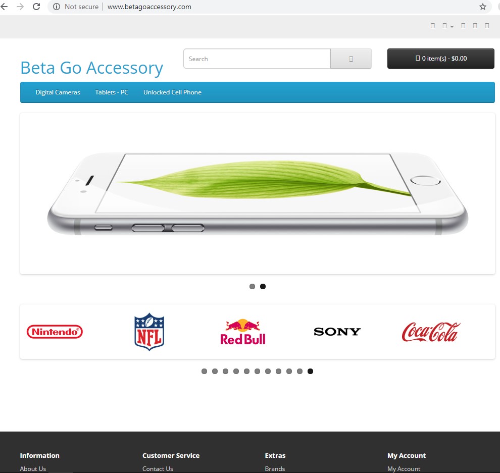 betagoaccesssory home page image