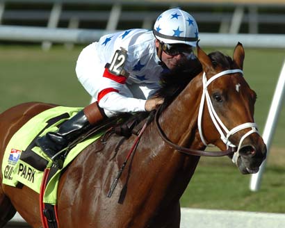 A brown horse racing around a grass track with a jockey dressed in white