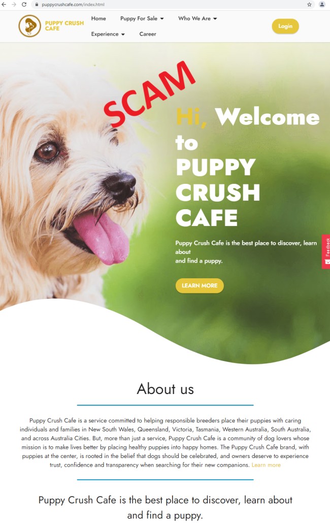 20210518 - puppycrushcafe