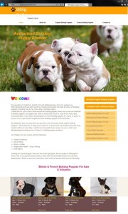 bulldog breeder website