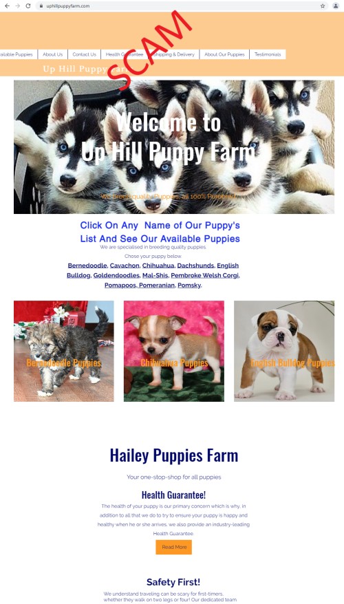 20210518 - uphillpuppyfarm