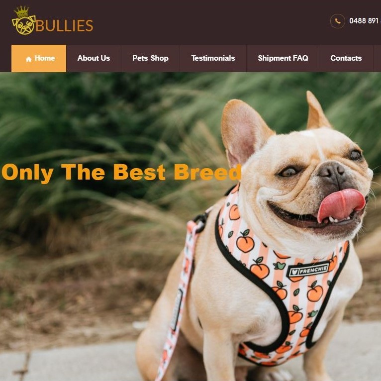 screenshot of fake puppy website royal online bullie