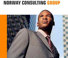 A screen shot of the Norway consulting group scam website