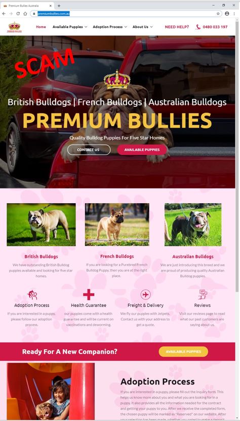 screenshot of fake puppy website