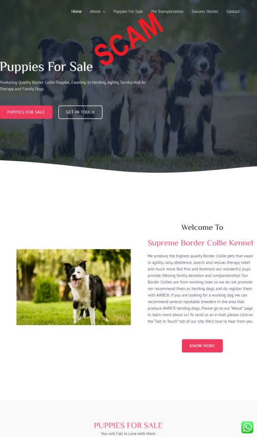 20210730 - Puppy scam - supremebordercollies