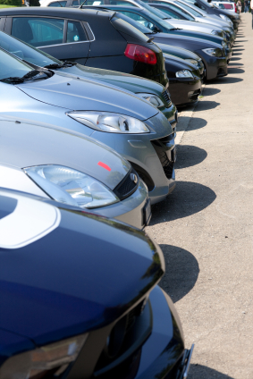 A bunch of cars lined up in a car yard