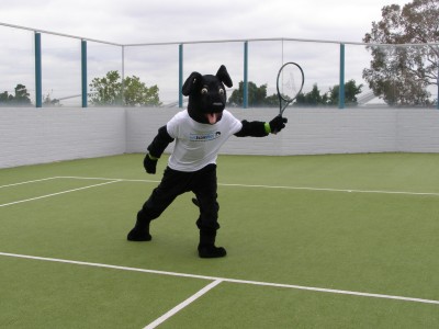 Jet playing tennis