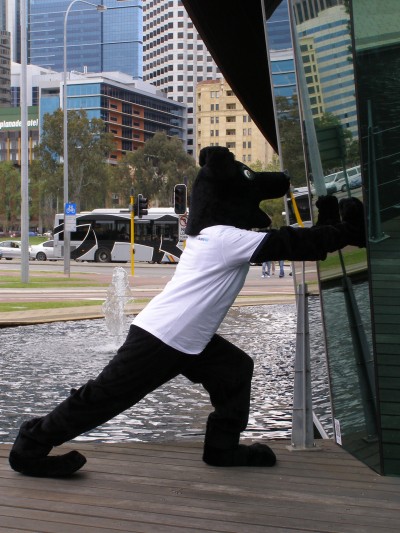 Jet doing stretches against the bell tower