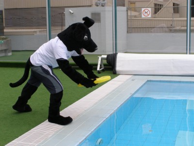 Jet diving into the pool