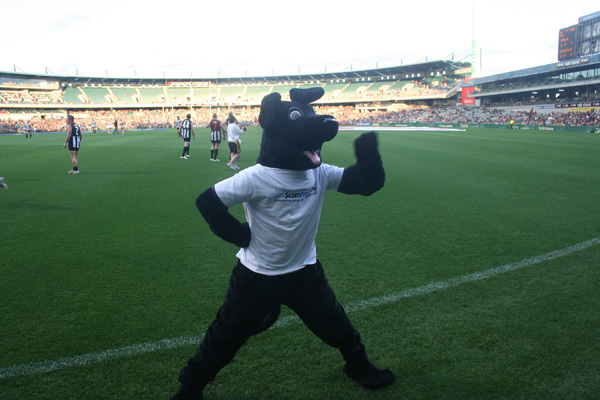 Jet warms up as the football match gets going