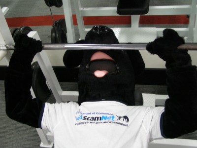 WA ScamNet Mascott Jet lifting weights