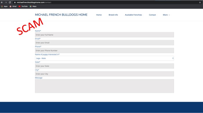 Screenshot of fake french bulldog website