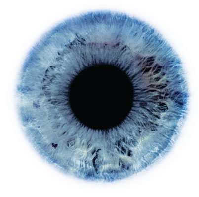A pupil and blue iris on a white background