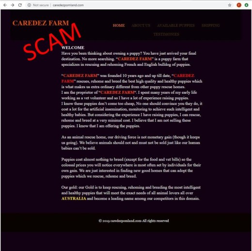 screenshot of fake webpage carzdezpomland