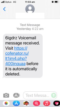 FluBot phishing SMS - screenshot2