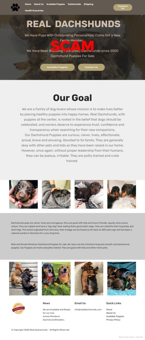 realdachshunds.com - Home