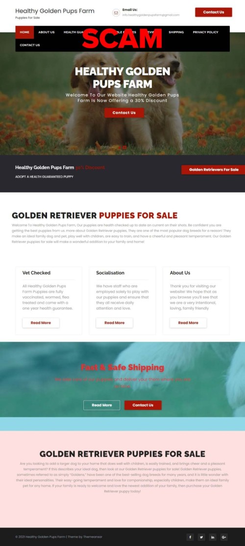 healthygoldenpupsfarm.com - Home