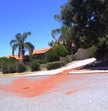 Itinerant traders leave mess edit Itinerant traders leave mess edit