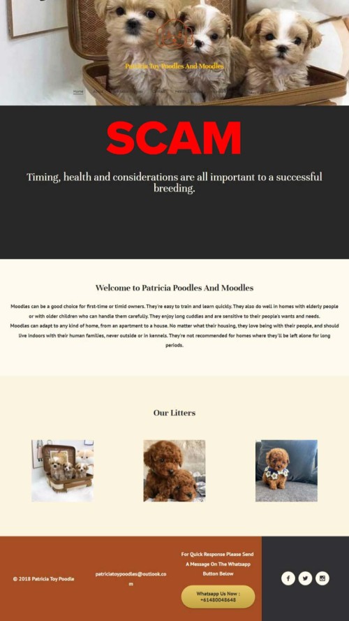 Scam website