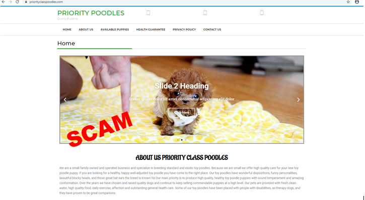 screenshot of fake puppy website