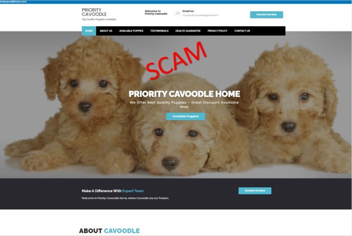 prioritycavoodlehome.com - home