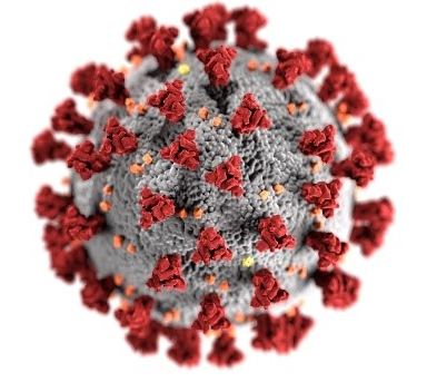 COVID-19 coronavirus scams